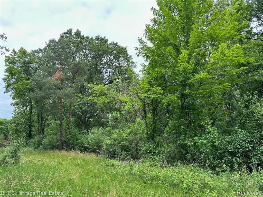 1426 Wind River Road Milford, MI 48381 - Photo 1 of 4 Gallery Image 1