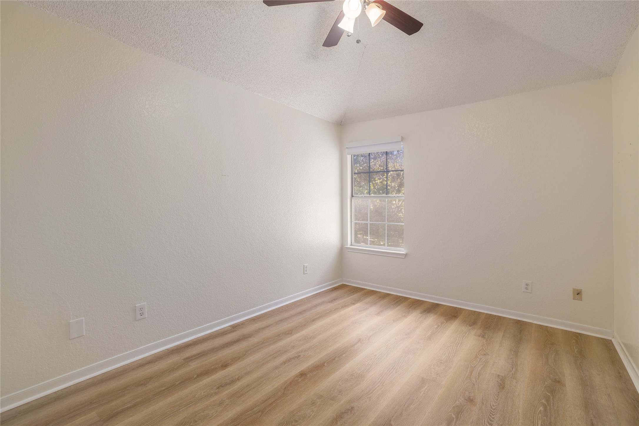 2229 Jasmine Path Round Rock, TX 78664 - Photo 15 of 28