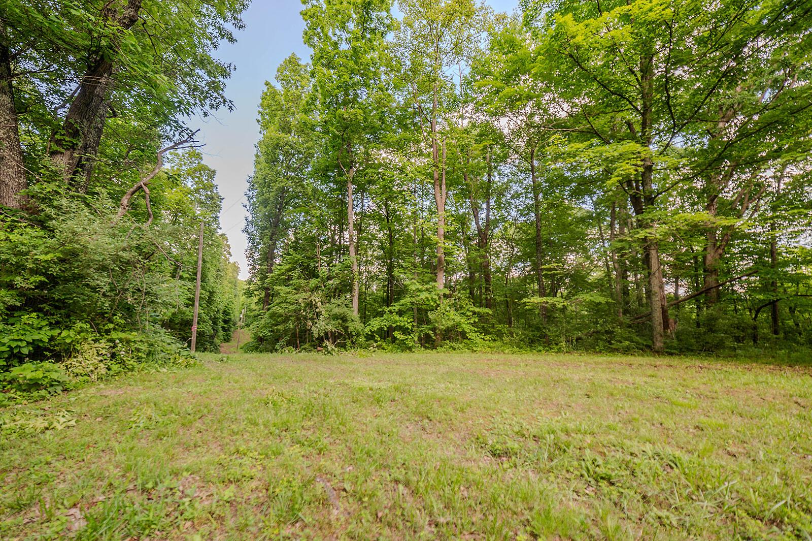 8700 Wood Road Chesterhill, OH 43728 - Photo 12 of 51 DSC_6073