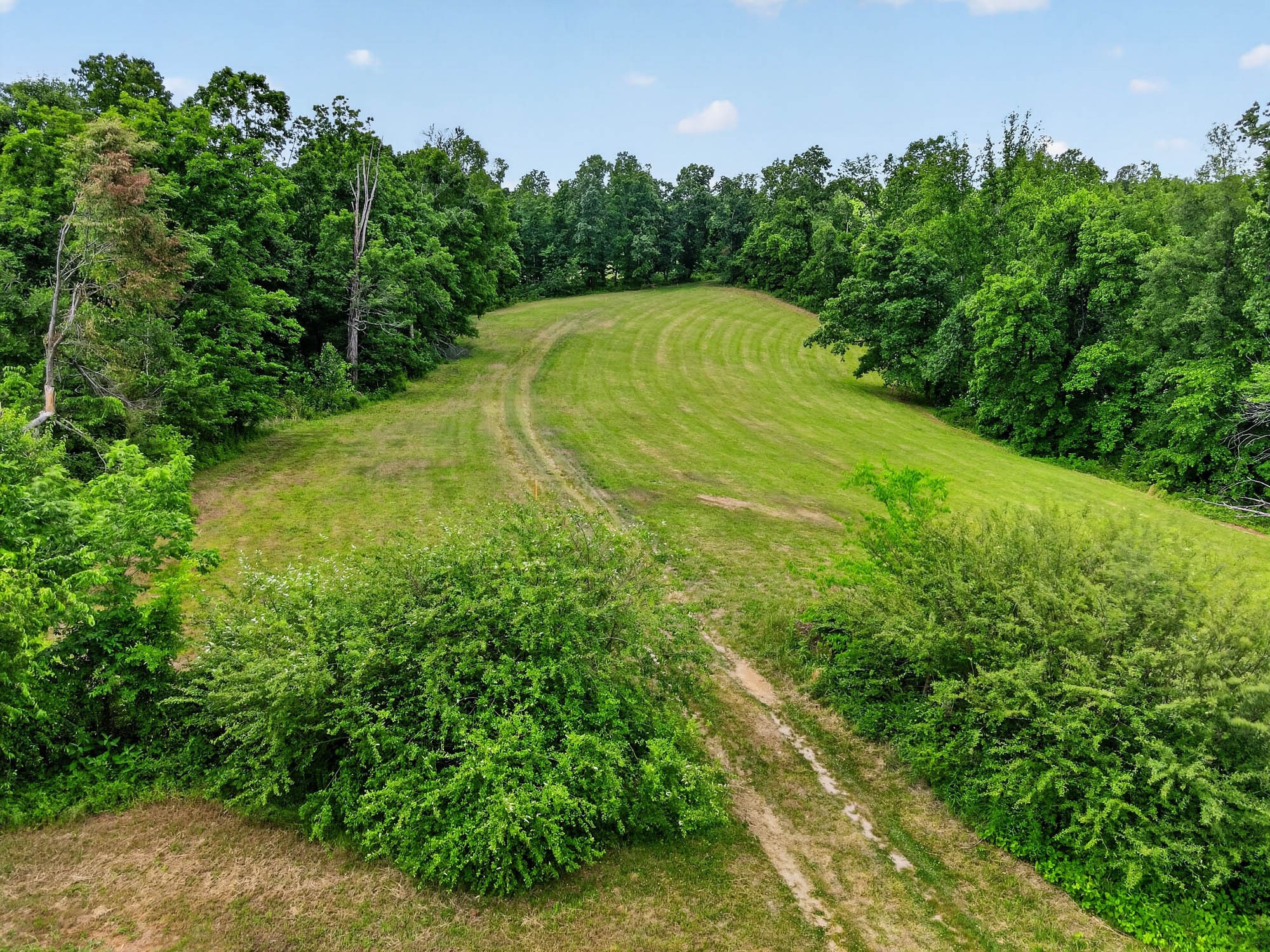 7393 South Harpeth Road Franklin, TN 37064 - Photo 5 of 27