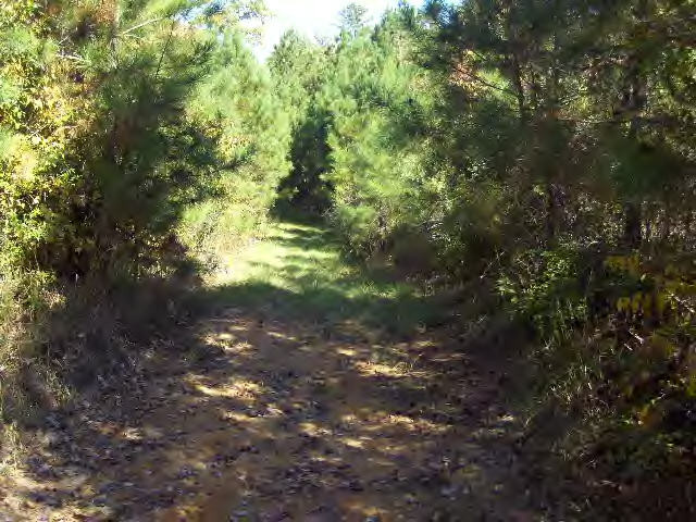0 Caseyville Road Northwest Brookhaven, MS 39601 - Photo 1 of 1 Main View