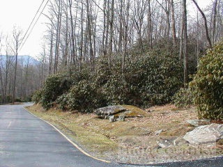 0 Evergreen Boone, NC 28607 - Photo 1 of 1 Gallery Image 1