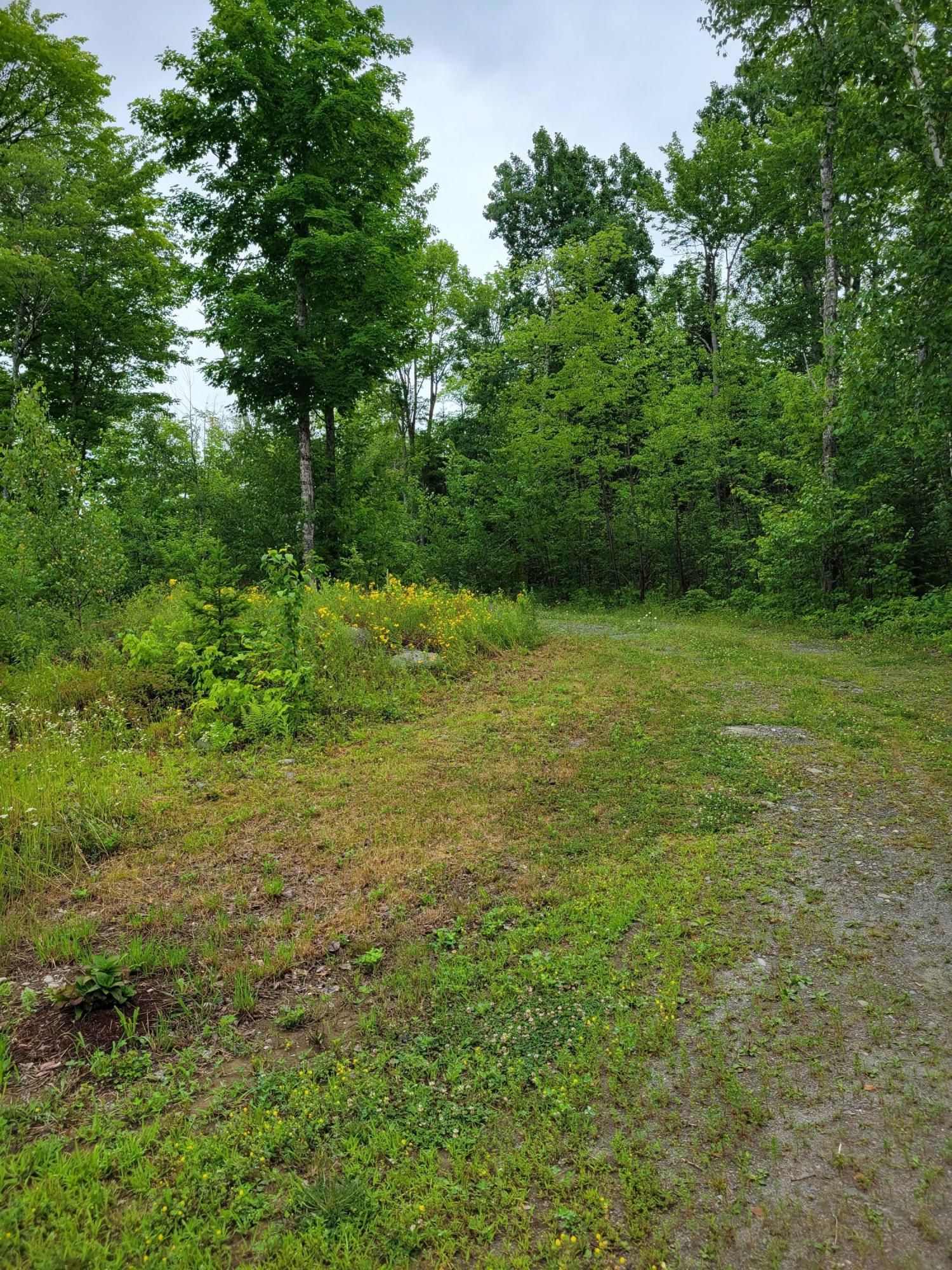 115 Pine Grove Road Hudson, ME 04449 - Photo 11 of 35 20210709_111340(0)