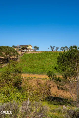 a view of a city with mountains in the background