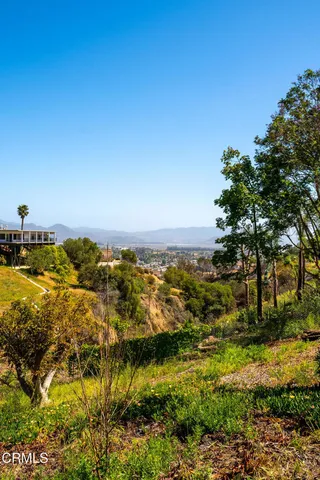 a view of a bunch of trees and houses