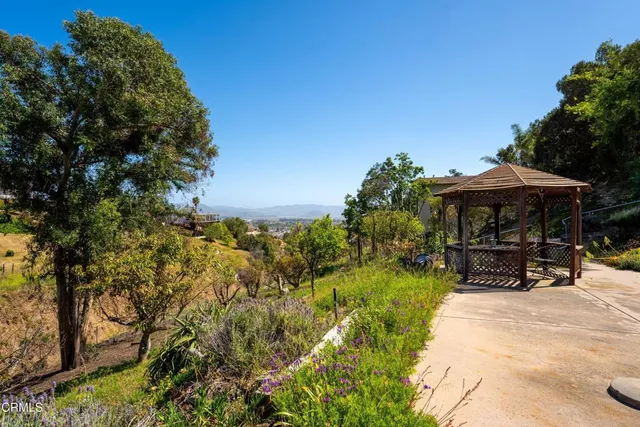 a view of a backyard