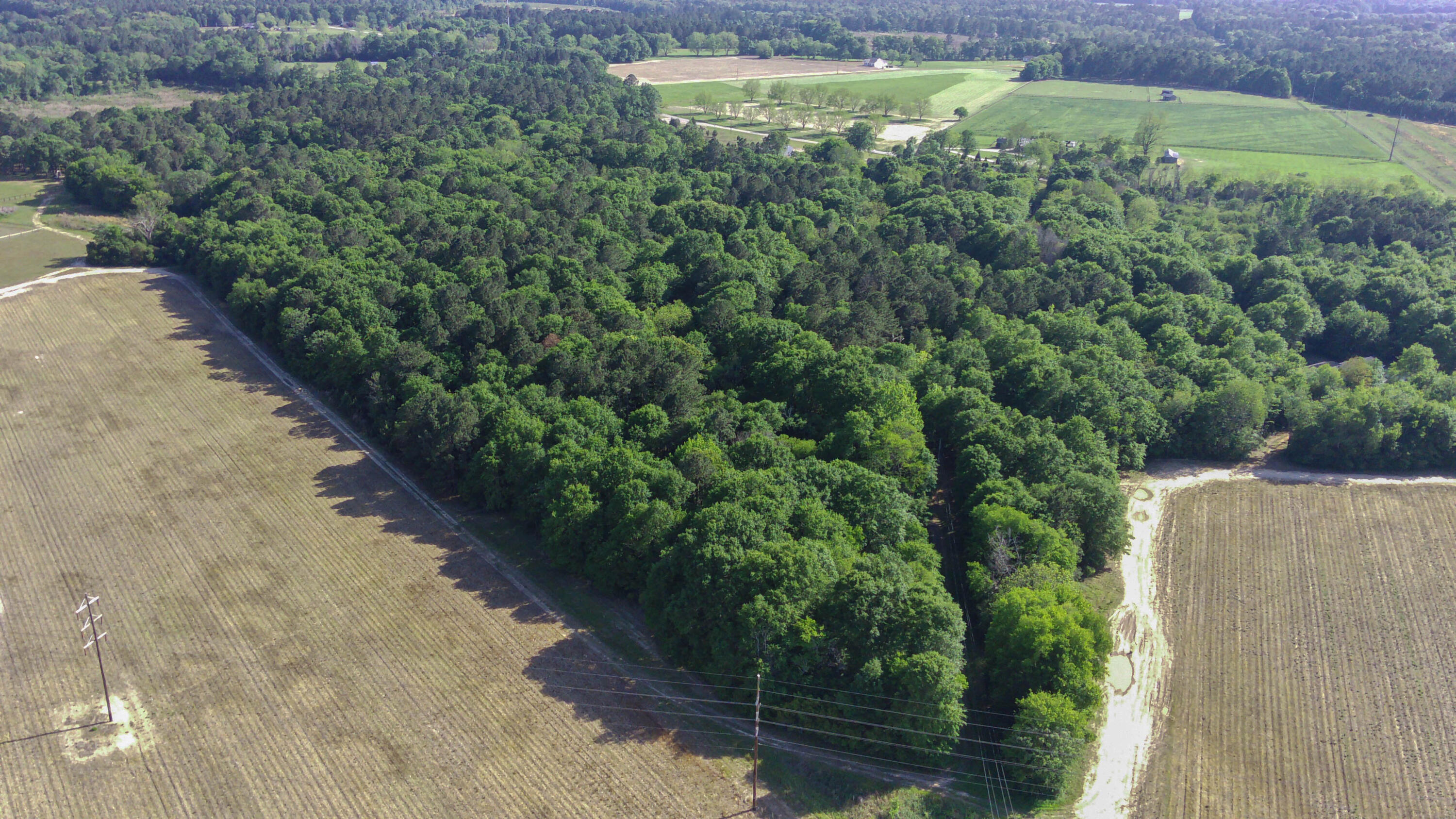 1214 Toolebeck Road Aiken, SC 29803 - Photo 10 of 17