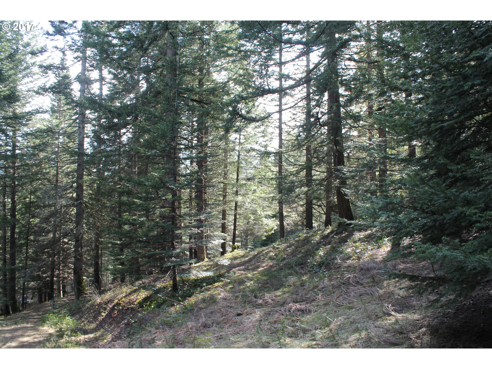 61 Lakeview Road White Salmon, WA 98672 - Photo 8 of 10 Acreage