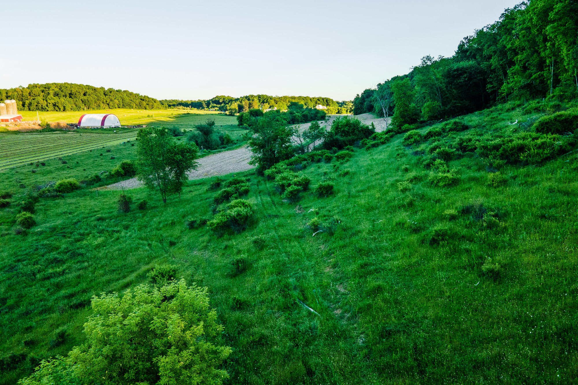 Lt2 Eli Valley Road Hillpoint, WI 53937 - Photo 6 of 47 Sauk-County-WI-53-Acres-Land-For-Sale-6