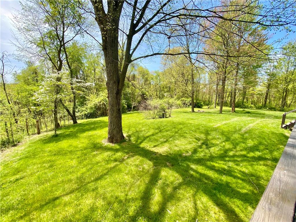 201 Curfew Road Perryopolis, PA 15473 - Photo 6 of 25 a view of yard with large trees