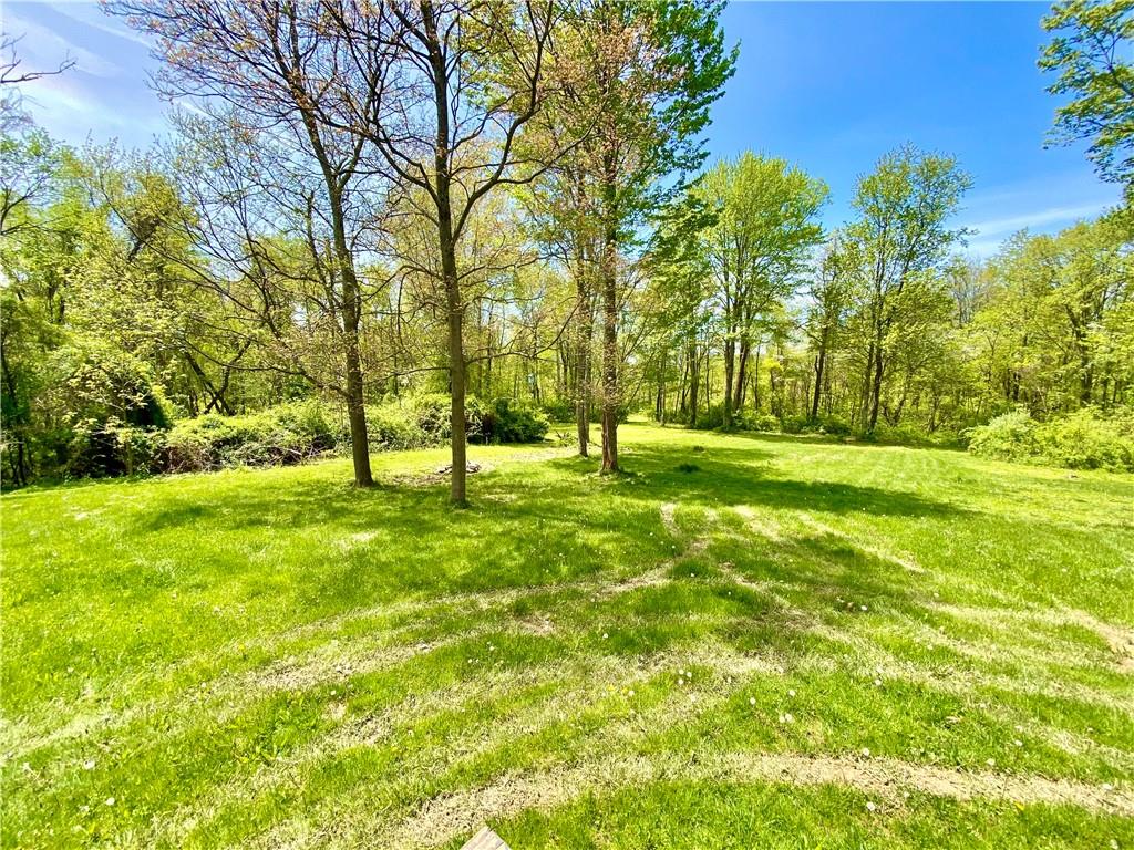 201 Curfew Road Perryopolis, PA 15473 - Photo 7 of 25 a view of yard with green space