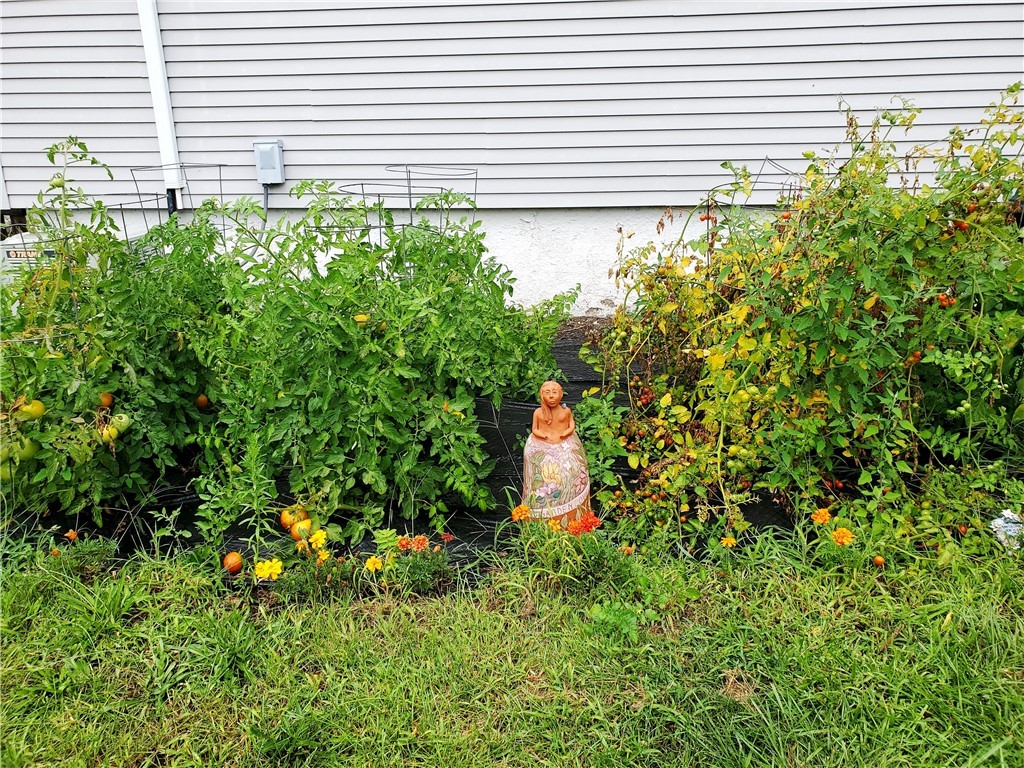 73 Windsor Road Pawtucket, RI 02861 - Photo 14 of 15