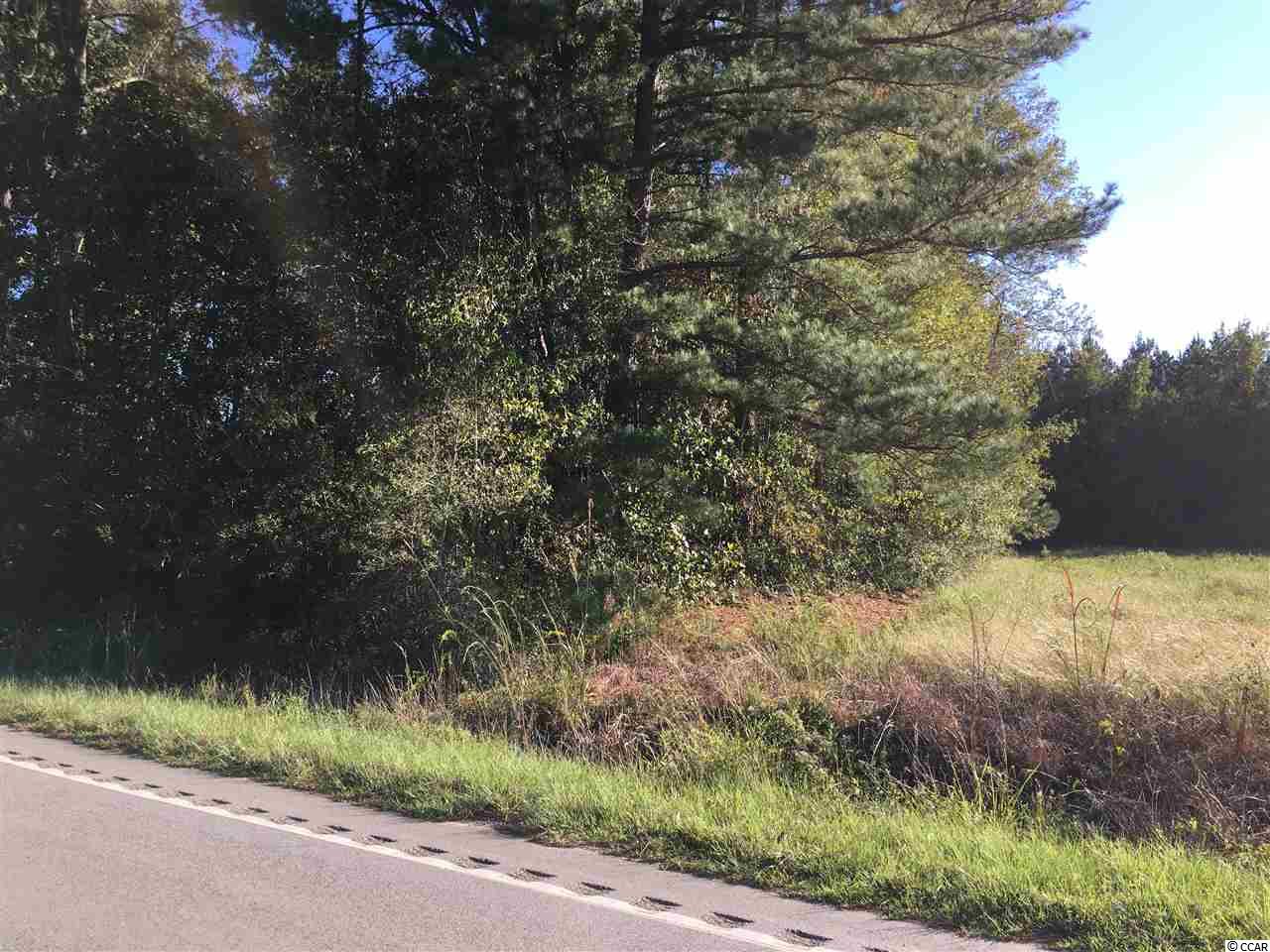 649 South Deerfield Road Johnsonville, SC 29555 - Photo 5 of 5