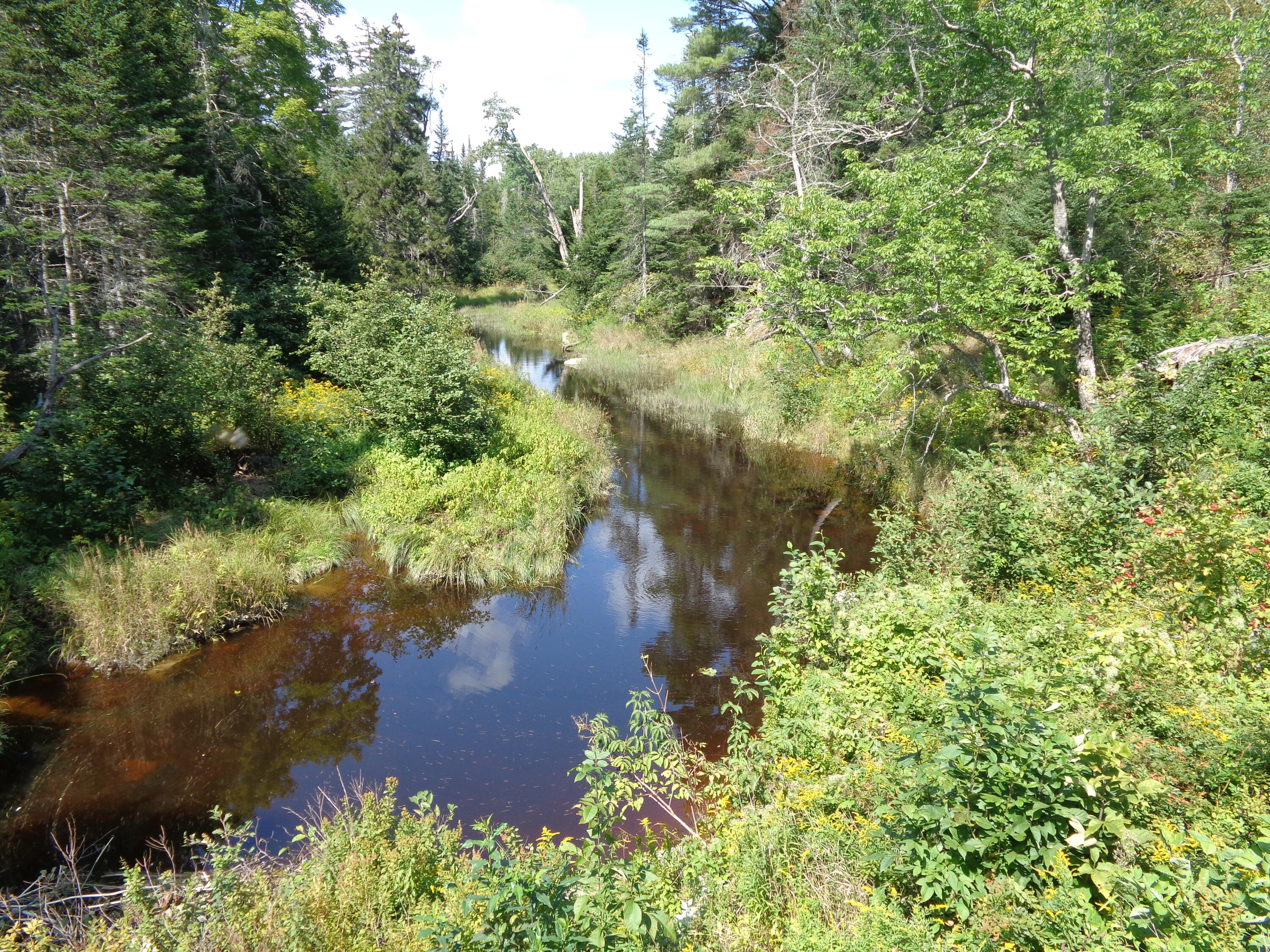 2068 Mariaville Road Ellsworth, ME 04605 - Photo 25 of 27 Garland Brook