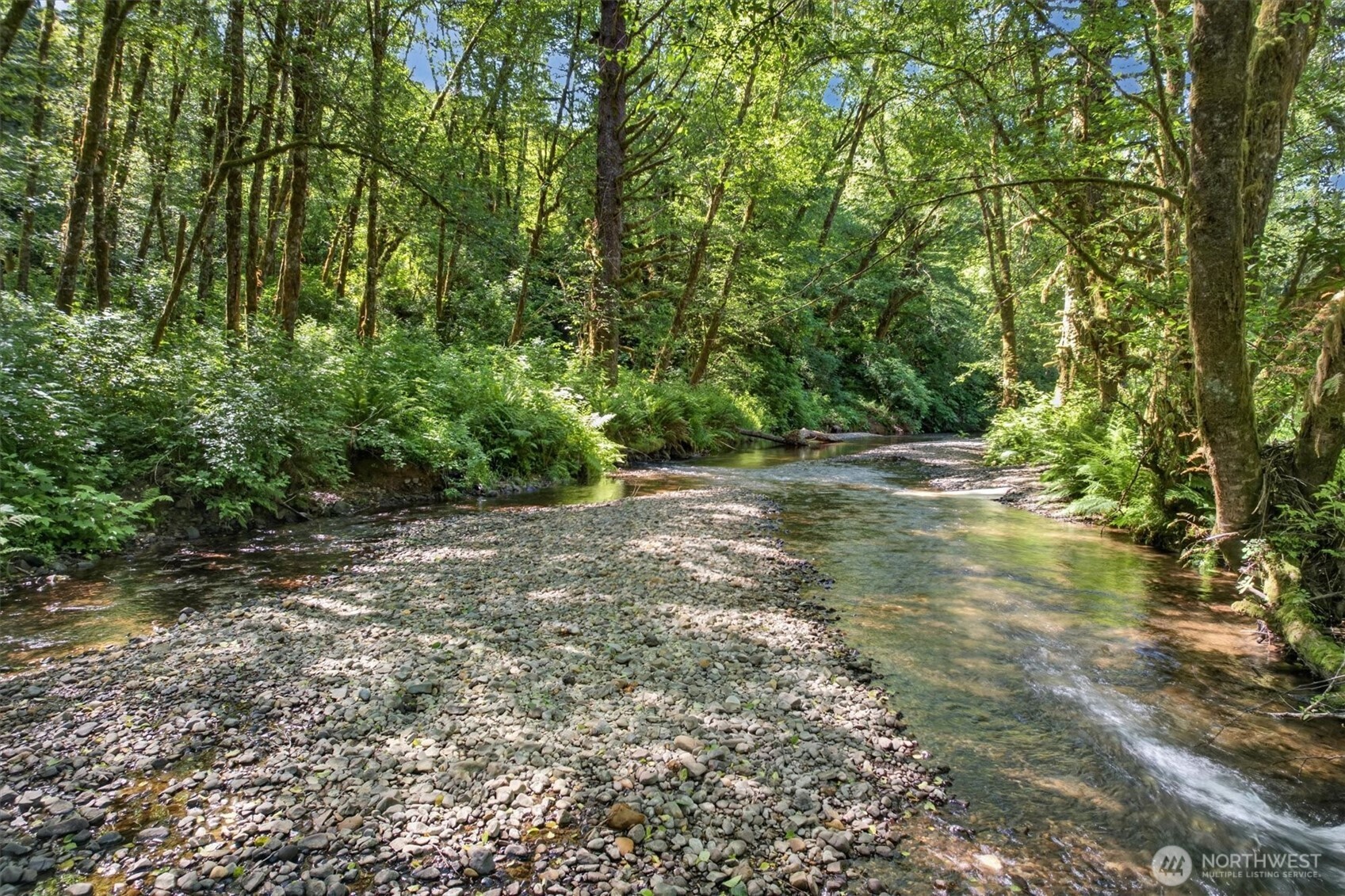 344 Hull Creek Road Grays River, WA 98621 - Photo 2 of 29