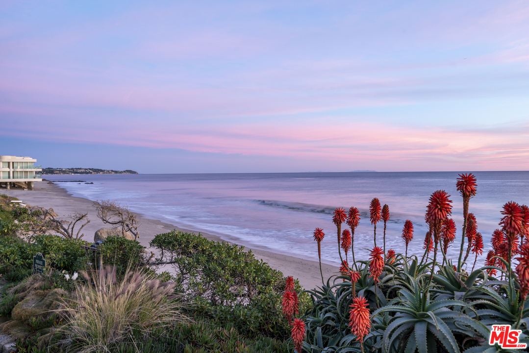 31725 Sea Level Drive Malibu, CA 90265 - Photo 32 of 37 a view of a beach with a palm tree in the background