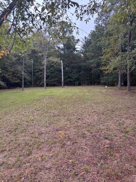 114 Highway 10 McCormick, SC 29835 - Photo 6 of 15