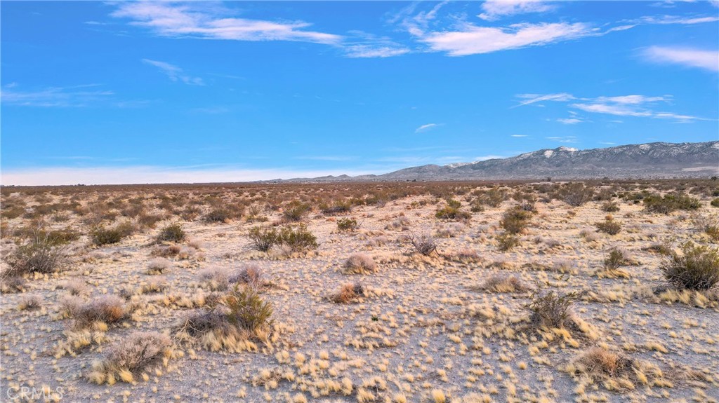 0 Off Of Cactus Road Phelan, CA 92371 - Photo 8 of 10