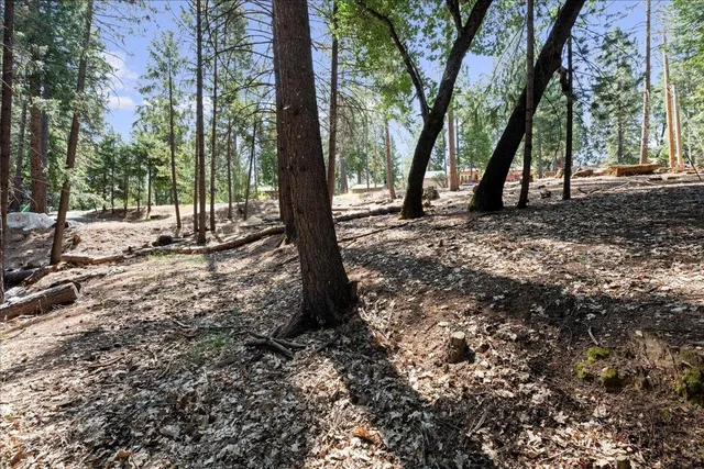 a view of outdoor space with lots of trees