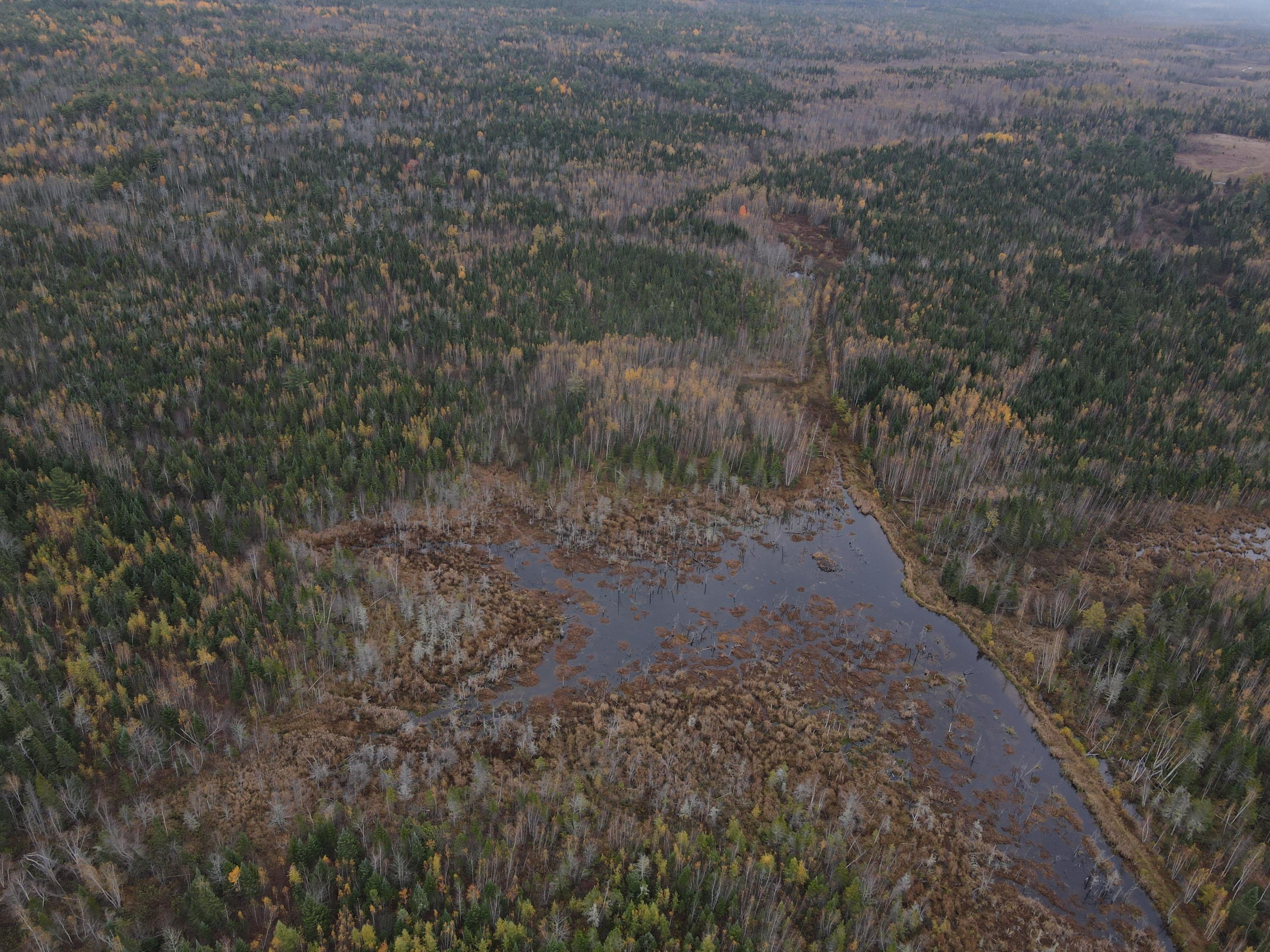 0 Greenfield Road Milford, ME 04461 - Photo 4 of 18 2020-10-20 14.35.25