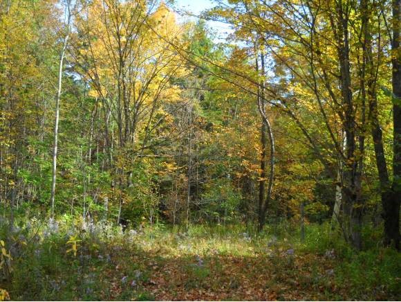 Shad Hill Road Springfield, NH 03284 - Photo 1 of 1