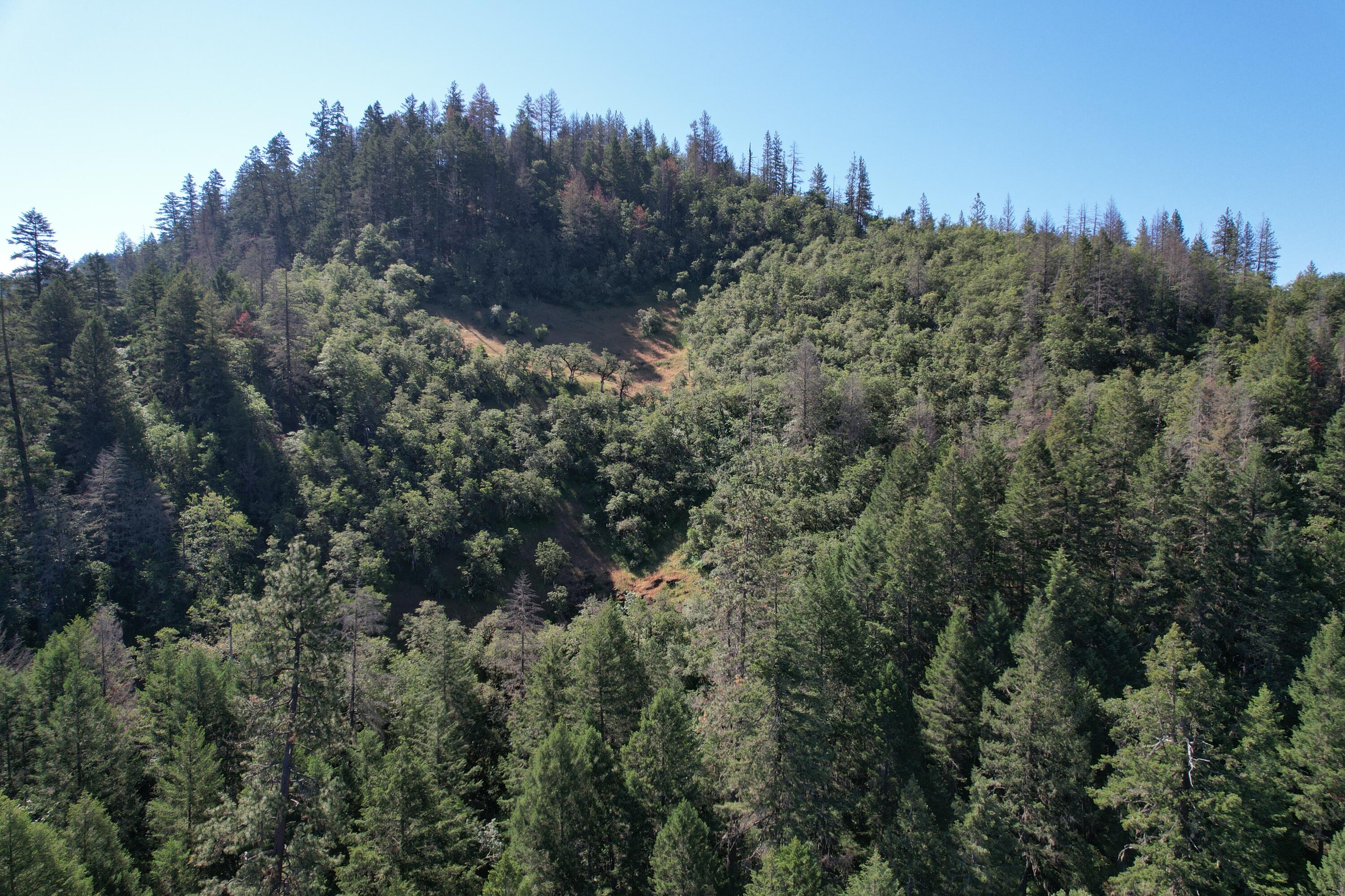 Old Ferry Road Shady Cove, OR 97539 - Photo 16 of 33 OLD FERRY (4)