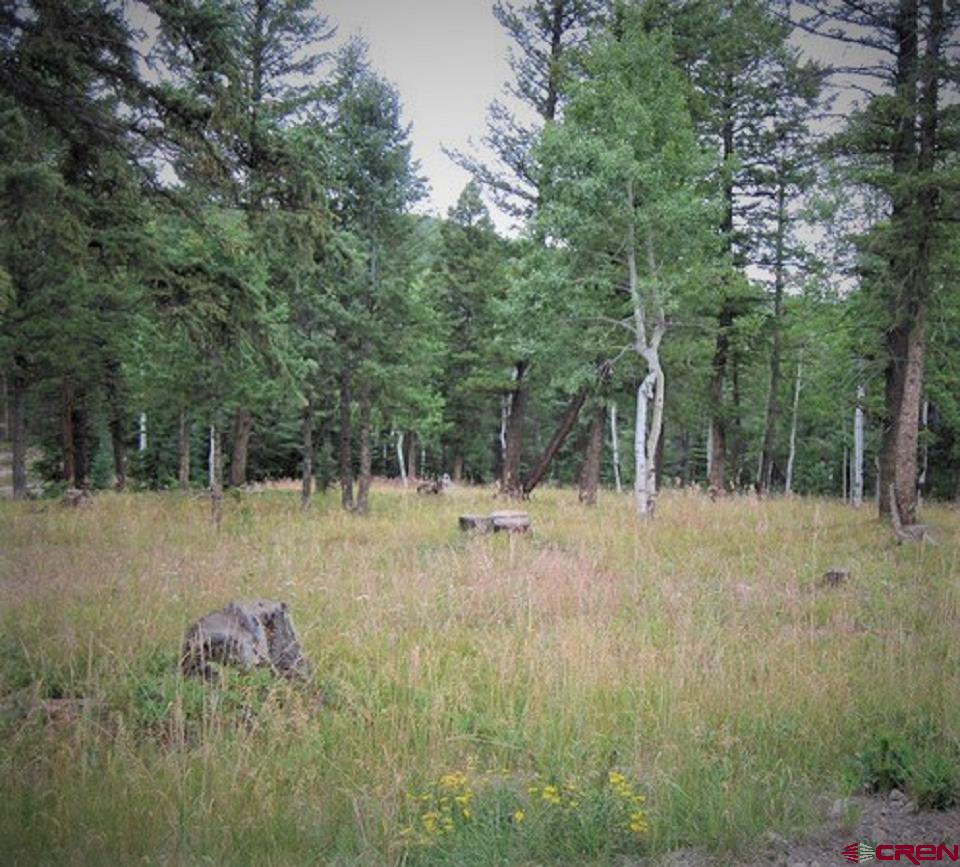 441 Ute Road Cimarron, CO 81220 - Photo 1 of 7 Gallery Image 1