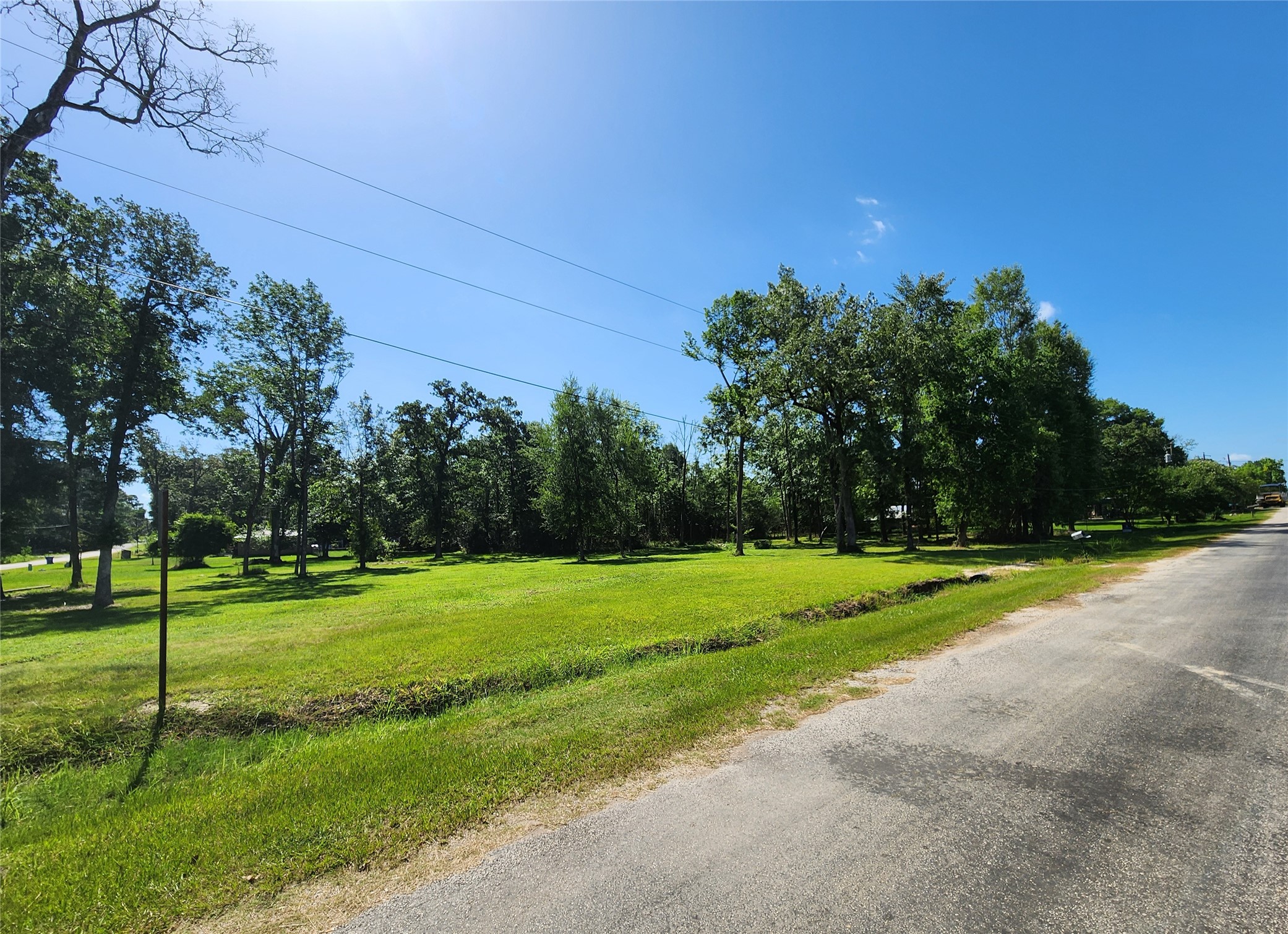 0 Armadillo Rd. Drive Trinity, TX 75862 - Photo 4 of 21