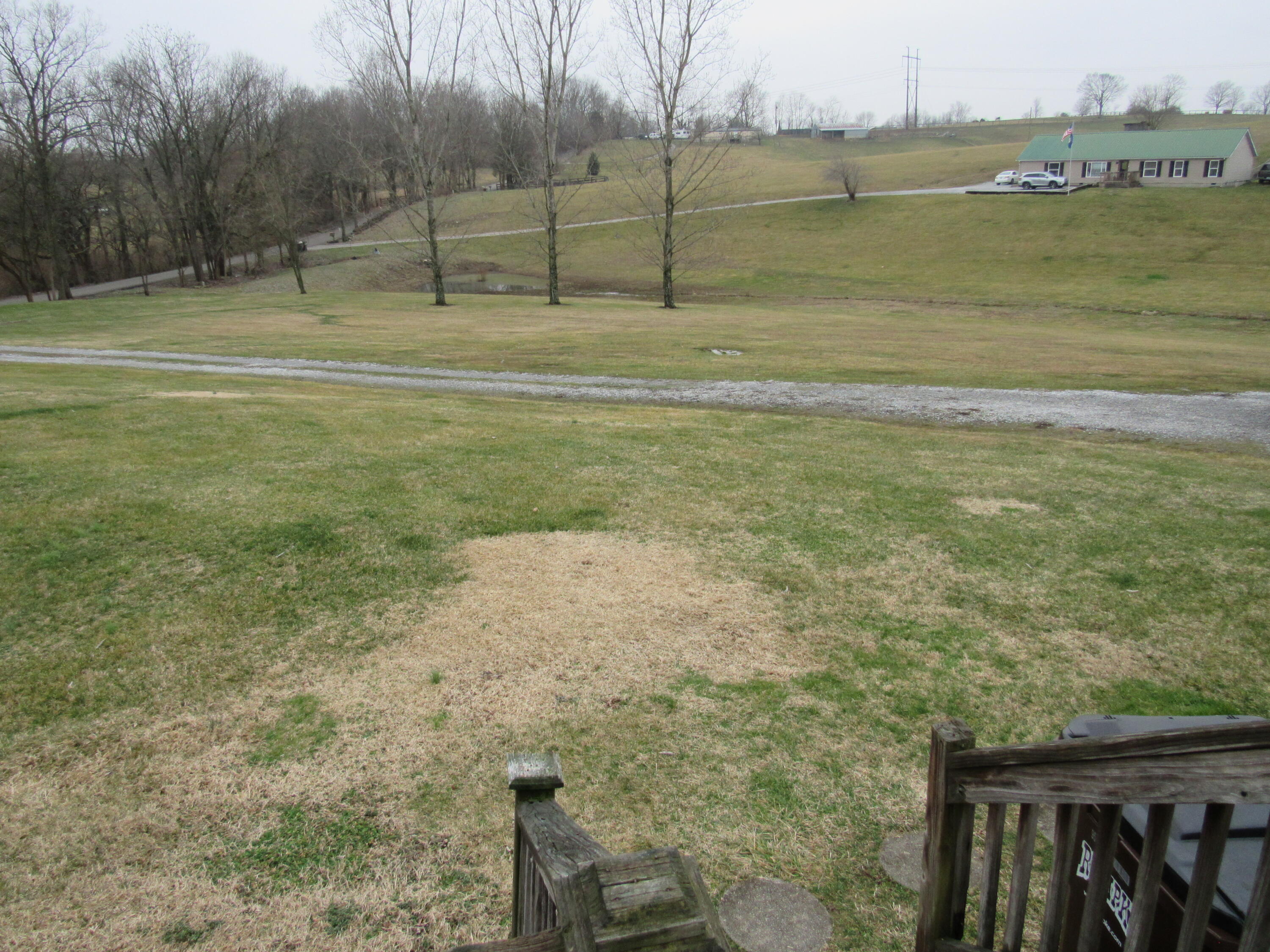 404 White Turley Road Mount Sterling, KY 40353 - Photo 8 of 53 404 acres 5
