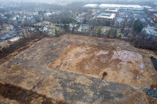 a view of a dry yard with trees