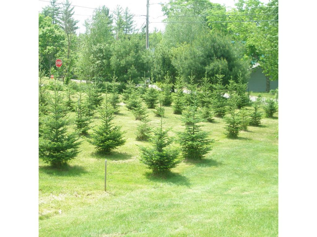 9 Red Oak Hill Road Wentworth, NH 03282 - Photo 2 of 25 Gallery Image 2