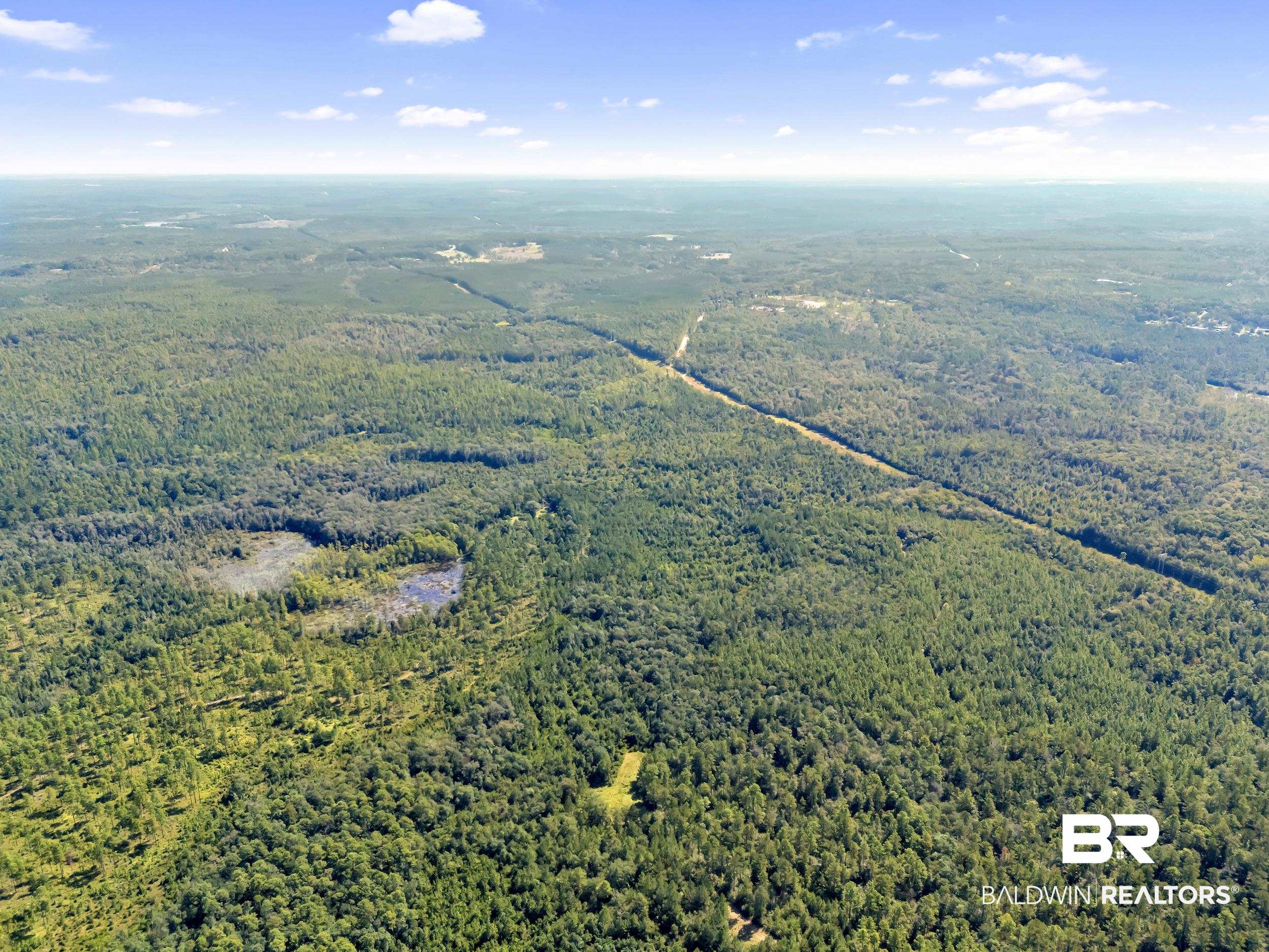 0 Arden Road Chunchula, AL 36521 - Photo 8 of 18 Drone / aerial view of a heavily wooded area