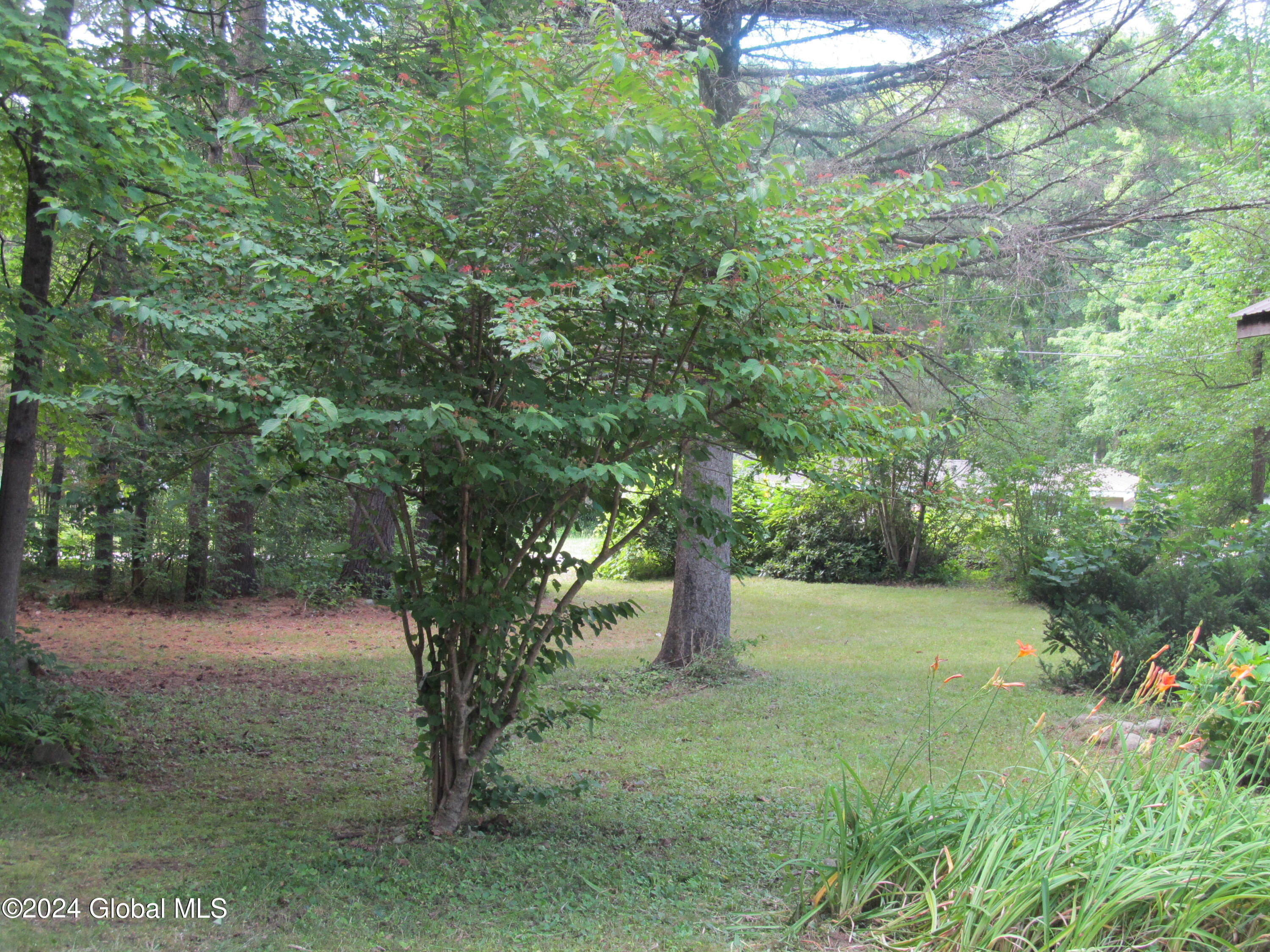 3779 Lewis Road Milton, NY 12020 - Photo 12 of 15 IMG_3501