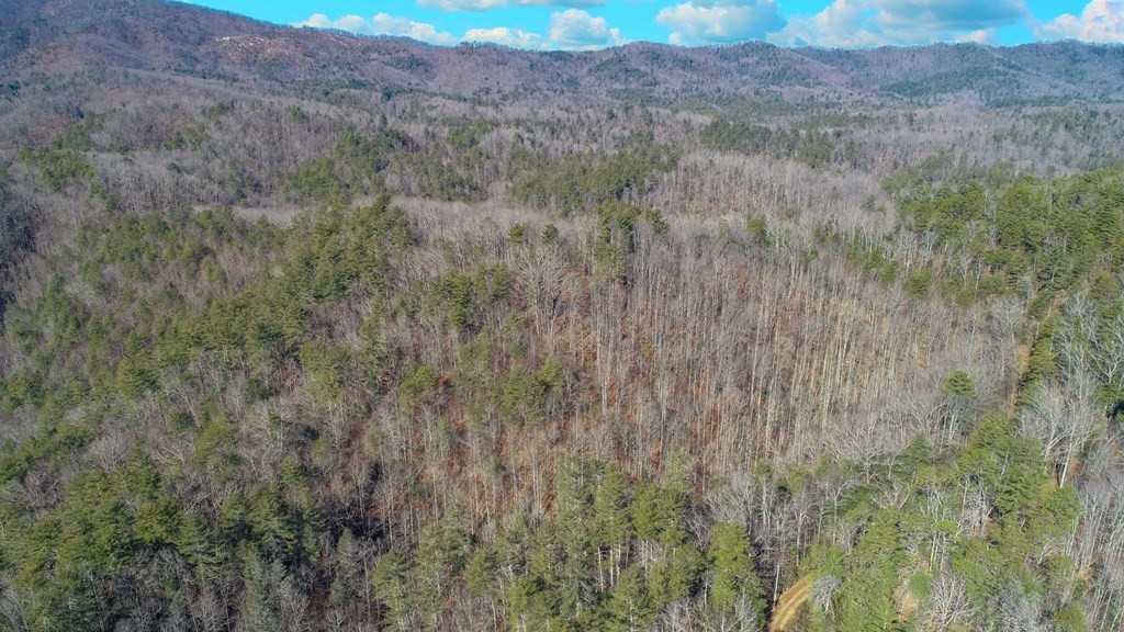 1574 Old 15th Road Del Rio, TN 37727 - Photo 27 of 36 Gallery Image 27