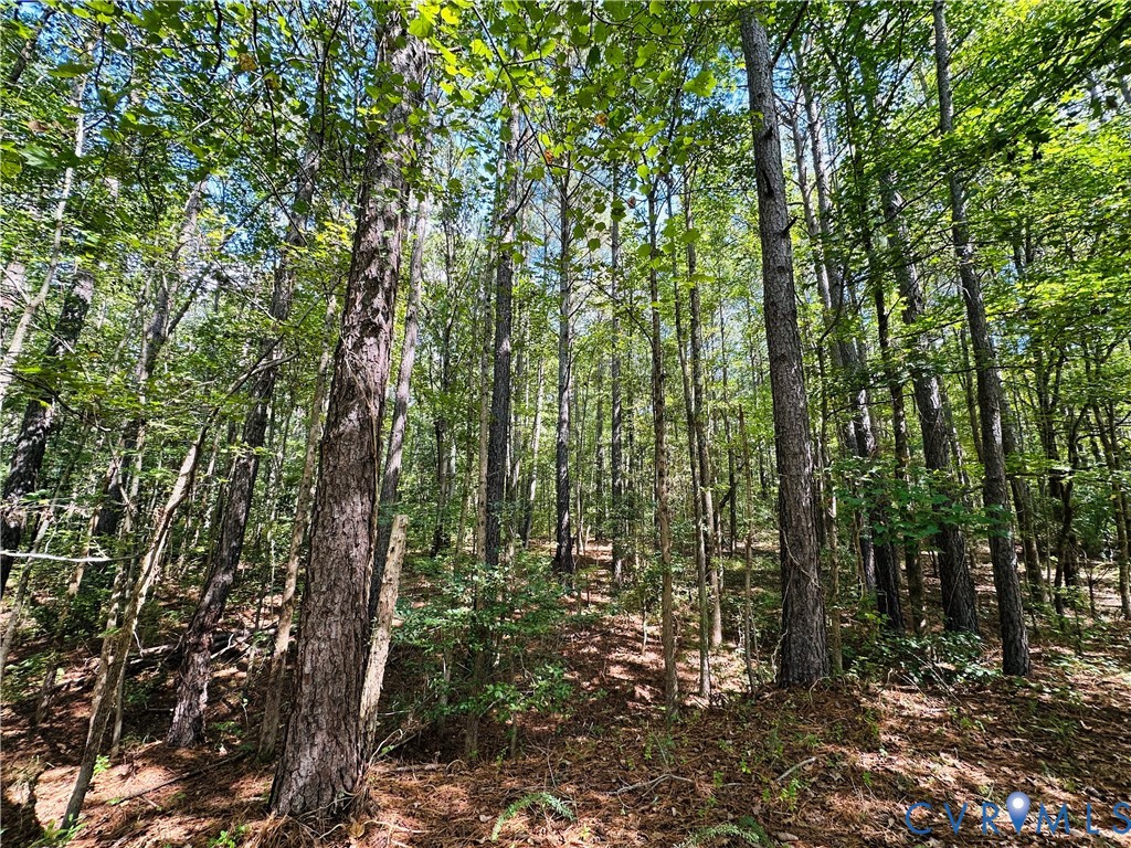 0 Old Wagner Road Petersburg, VA 23805 - Photo 3 of 8 a view of outdoor space and green space