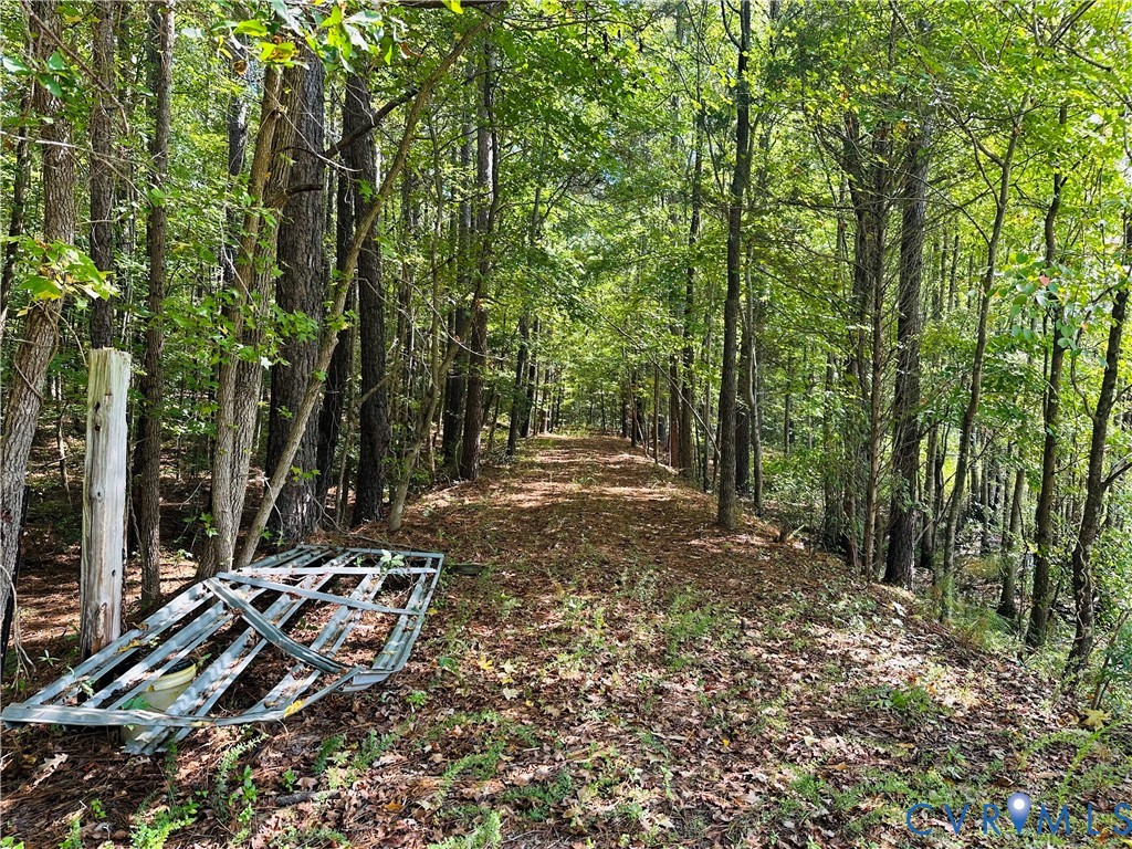 0 Old Wagner Road Petersburg, VA 23805 - Photo 4 of 8 a view of outdoor space and yard
