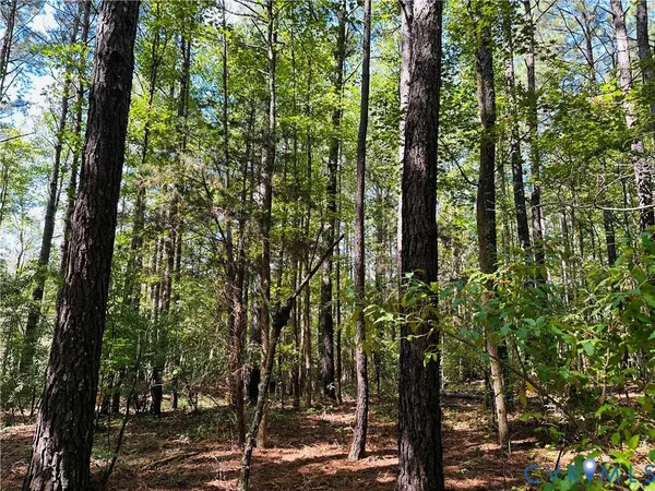 a view of outdoor space and trees