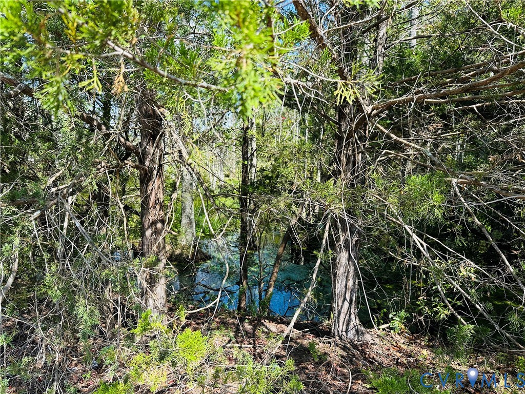 0 Old Wagner Road Petersburg, VA 23805 - Photo 7 of 8 a view of a backyard