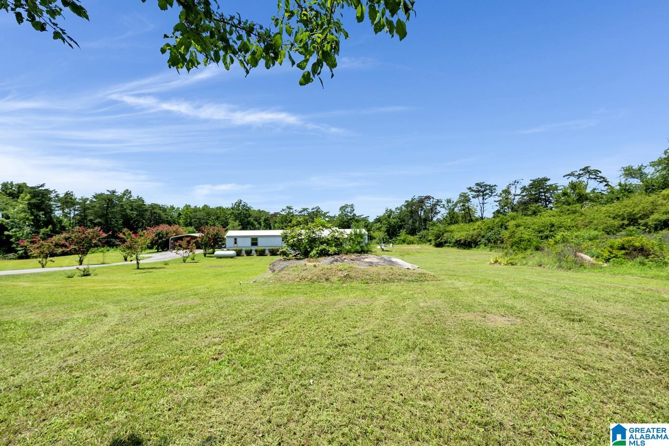 2101 Cliff Springs Road Oneonta, AL 35121 - Photo 24 of 42