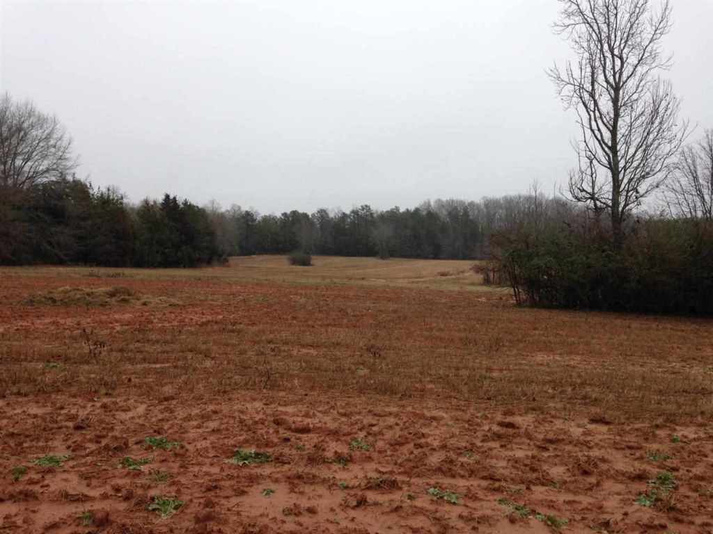 27774 Penson Road Honea Path, SC 29654 - Photo 2 of 18