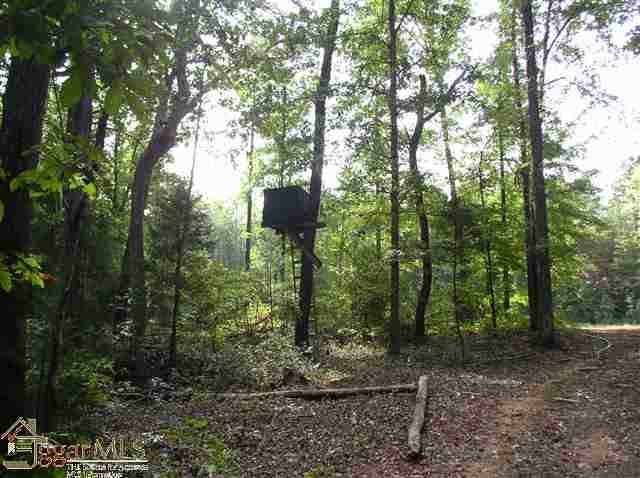 27774 Penson Road Honea Path, SC 29654 - Photo 7 of 18