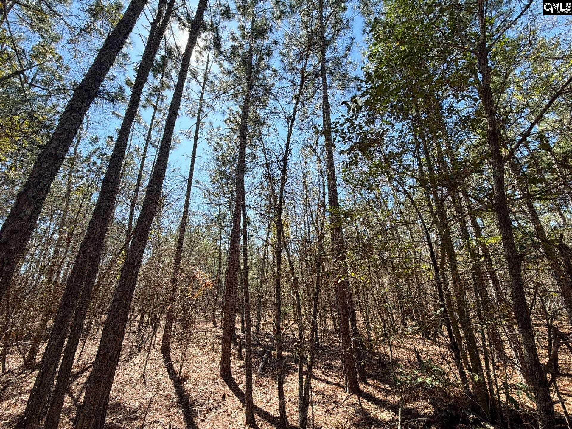 10 Boise Cascade Road, Unit BHL 10 Bethune, SC 29009 - Photo 14 of 24