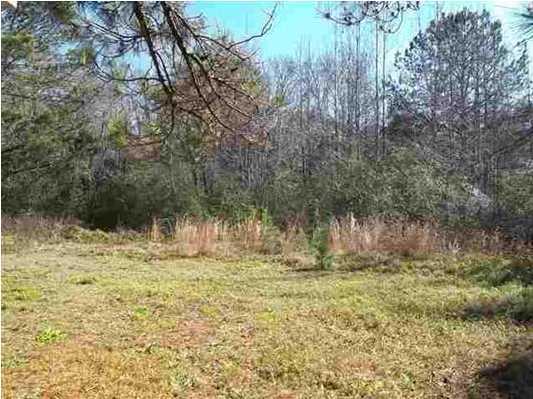 0 Lot 40 Reunion Road St. Helena Island, SC 29920 - Photo 1 of 5 Primary Photo
