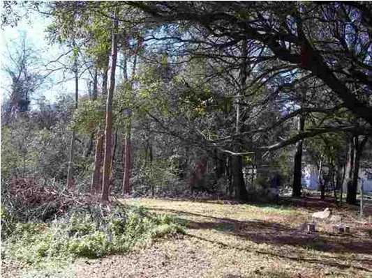 0 Lot 40 Reunion Road St. Helena Island, SC 29920 - Photo 3 of 5 Additional Photo