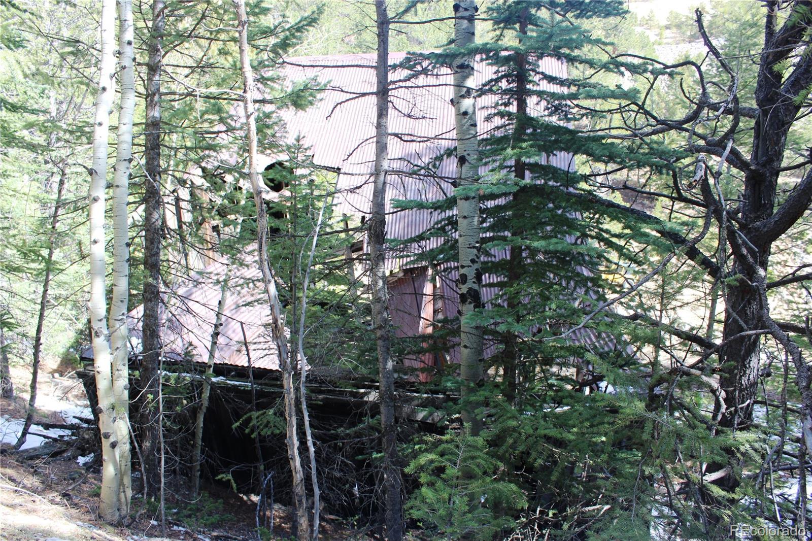 0 Missouri Flats Road Central City, CO 80427 - Photo 11 of 33 a view of forest