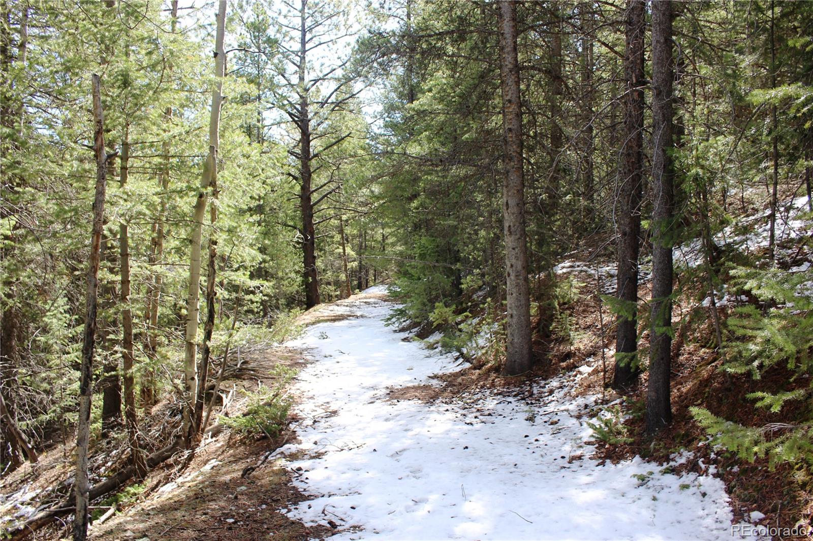0 Missouri Flats Road Central City, CO 80427 - Photo 16 of 33 a view of a forest with trees