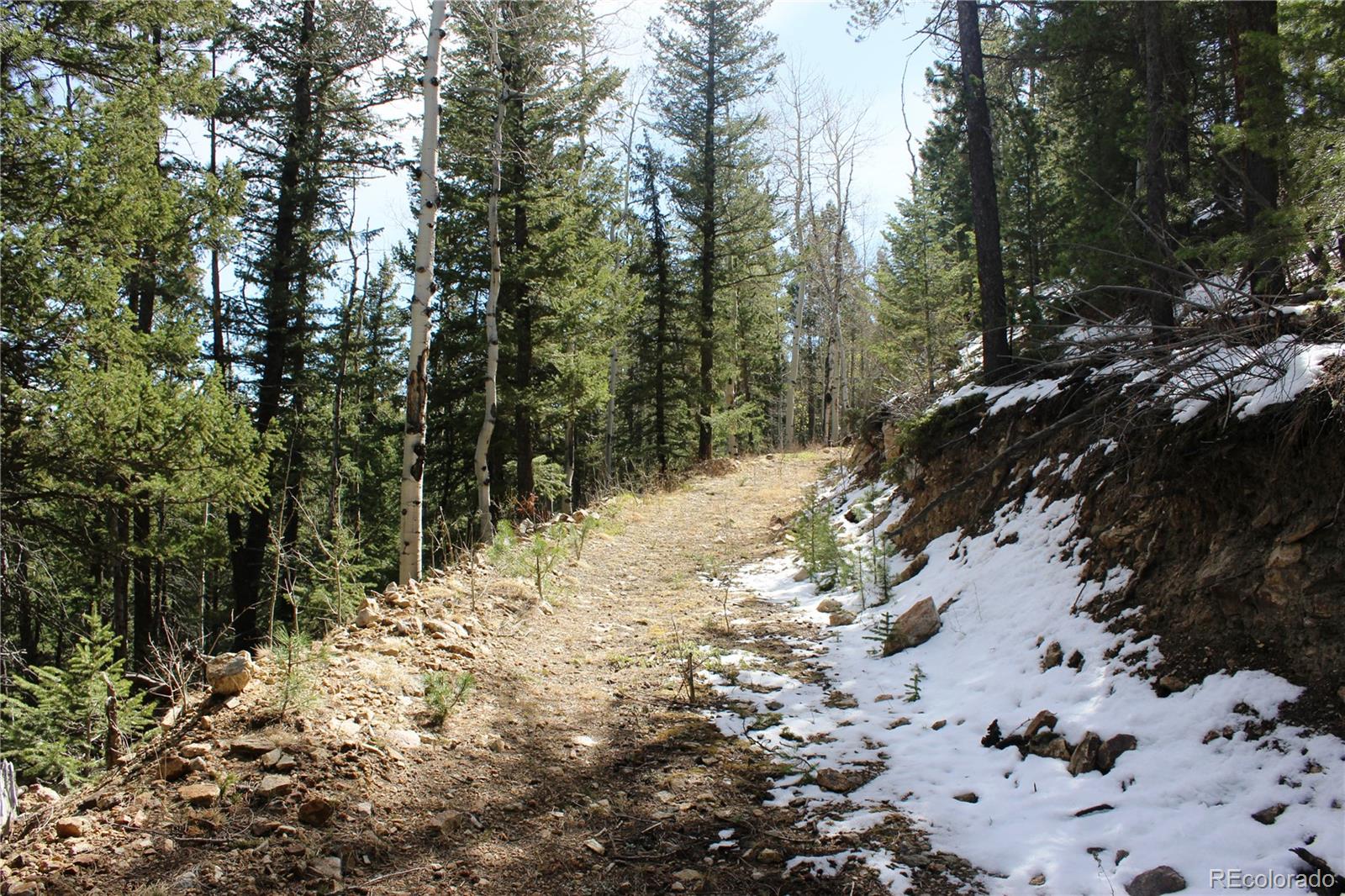 0 Missouri Flats Road Central City, CO 80427 - Photo 24 of 33 a view of a forest covered with trees