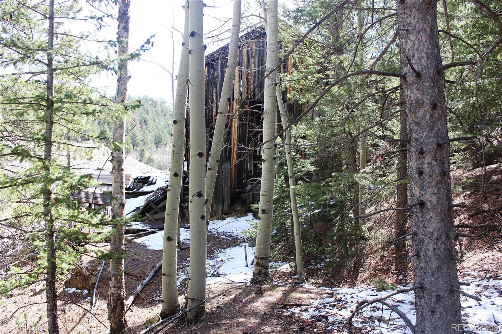 0 Missouri Flats Road Central City, CO 80427 - Photo 28 of 33 a view of forest
