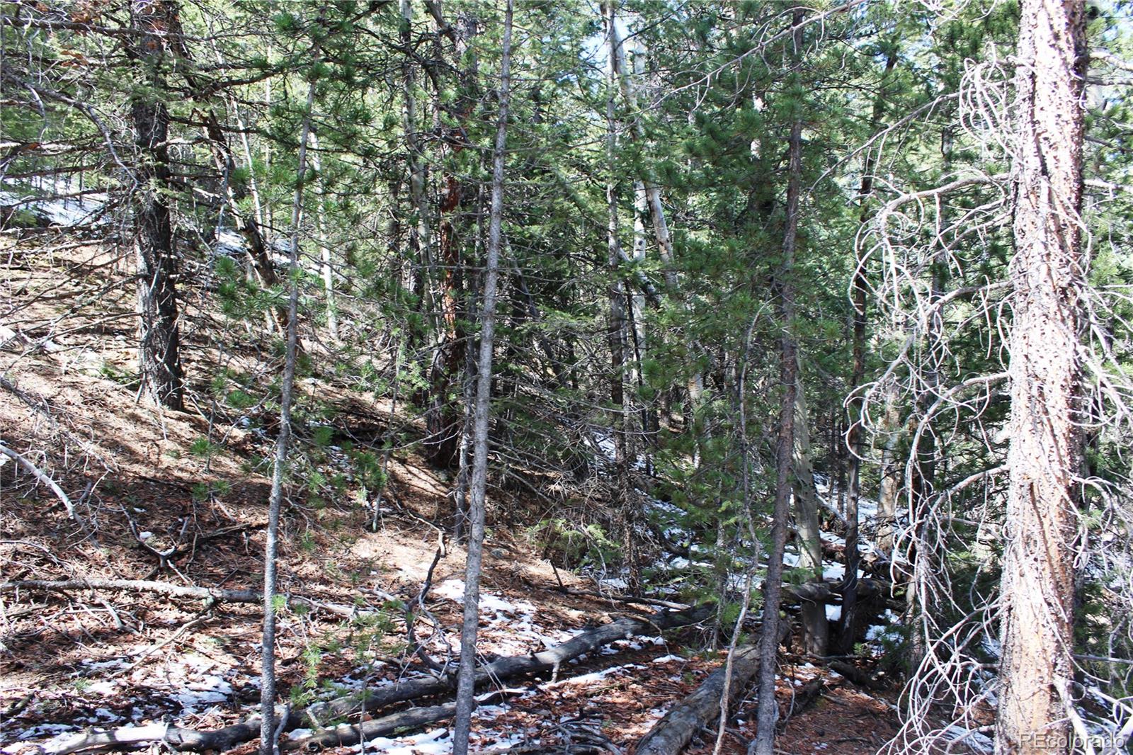 0 Missouri Flats Road Central City, CO 80427 - Photo 29 of 33 a view of a tree with a tree