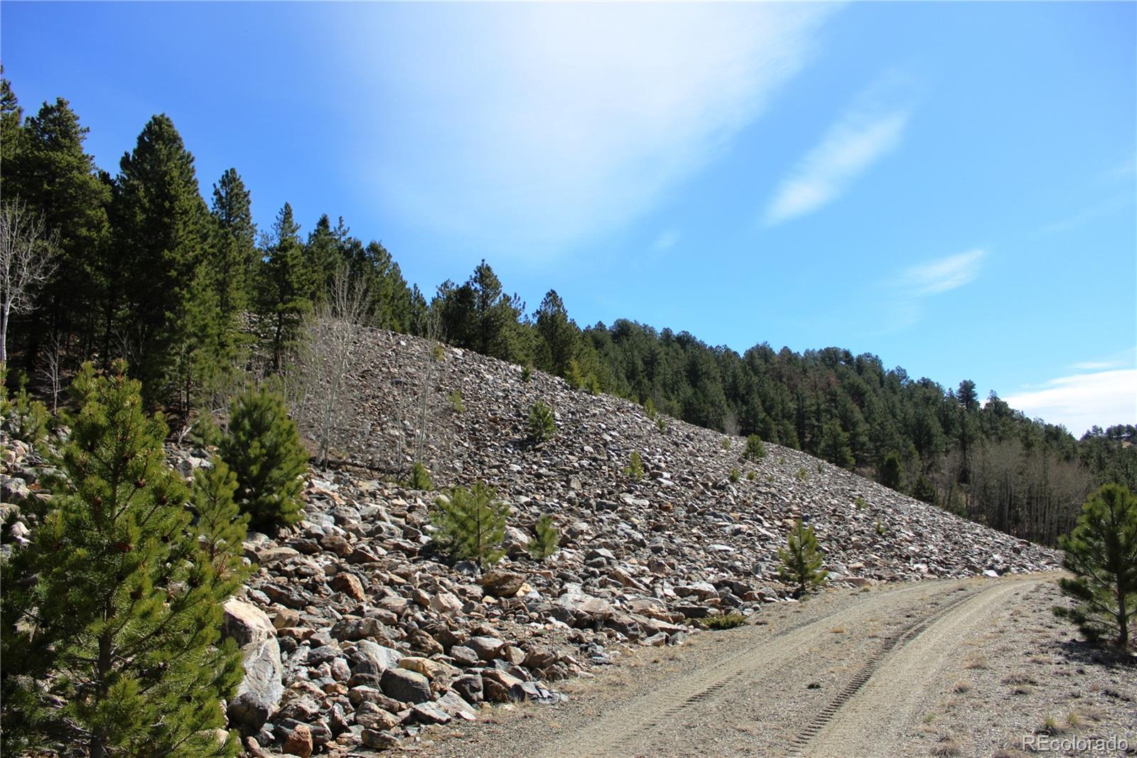 0 Missouri Flats Road Central City, CO 80427 - Photo 5 of 33 a view of a forest with a mountain in the background